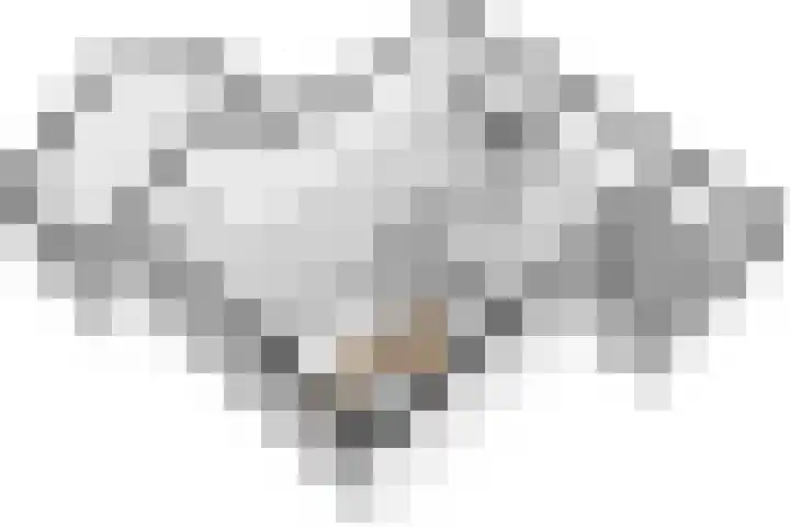 Schone Poel 21 Berg en Terblijt thumbnail 24