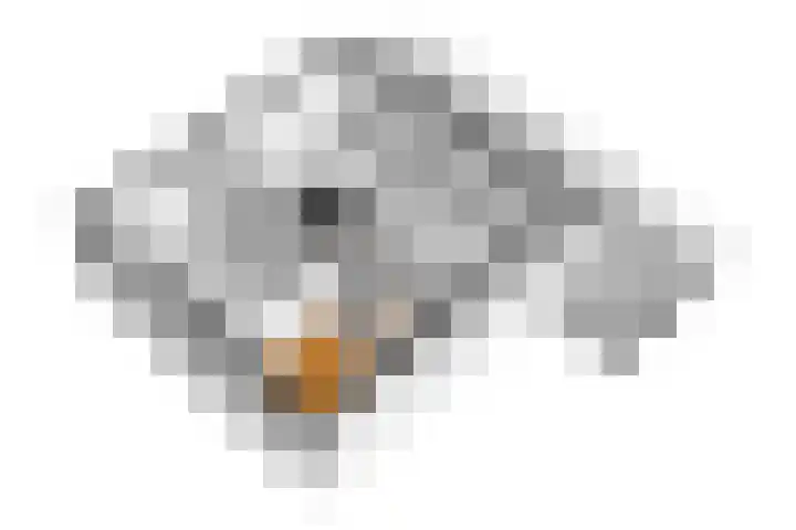 Schone Poel 21 Berg en Terblijt thumbnail 26