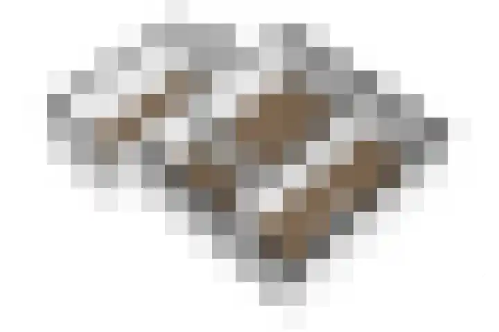 Schone Poel 21 Berg en Terblijt thumbnail 30