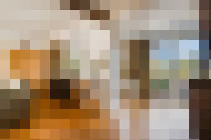 Schone Poel 21 Berg en Terblijt thumbnail 5