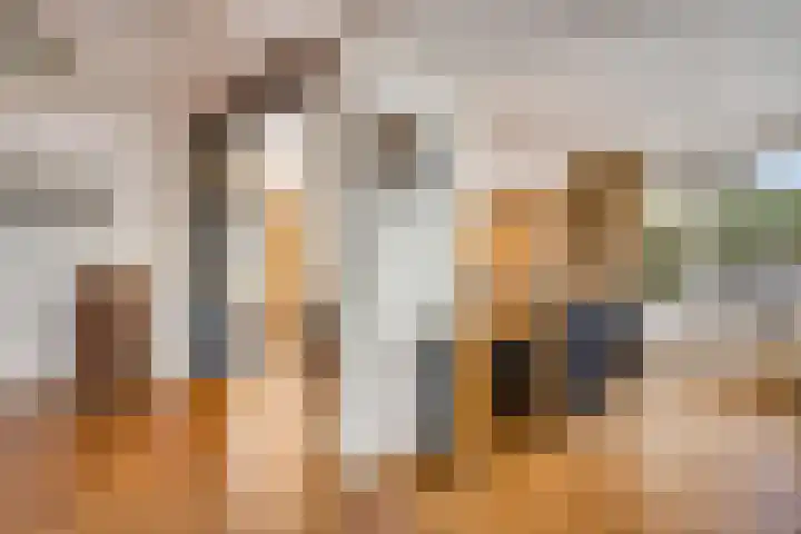 Schone Poel 21 Berg en Terblijt thumbnail 6