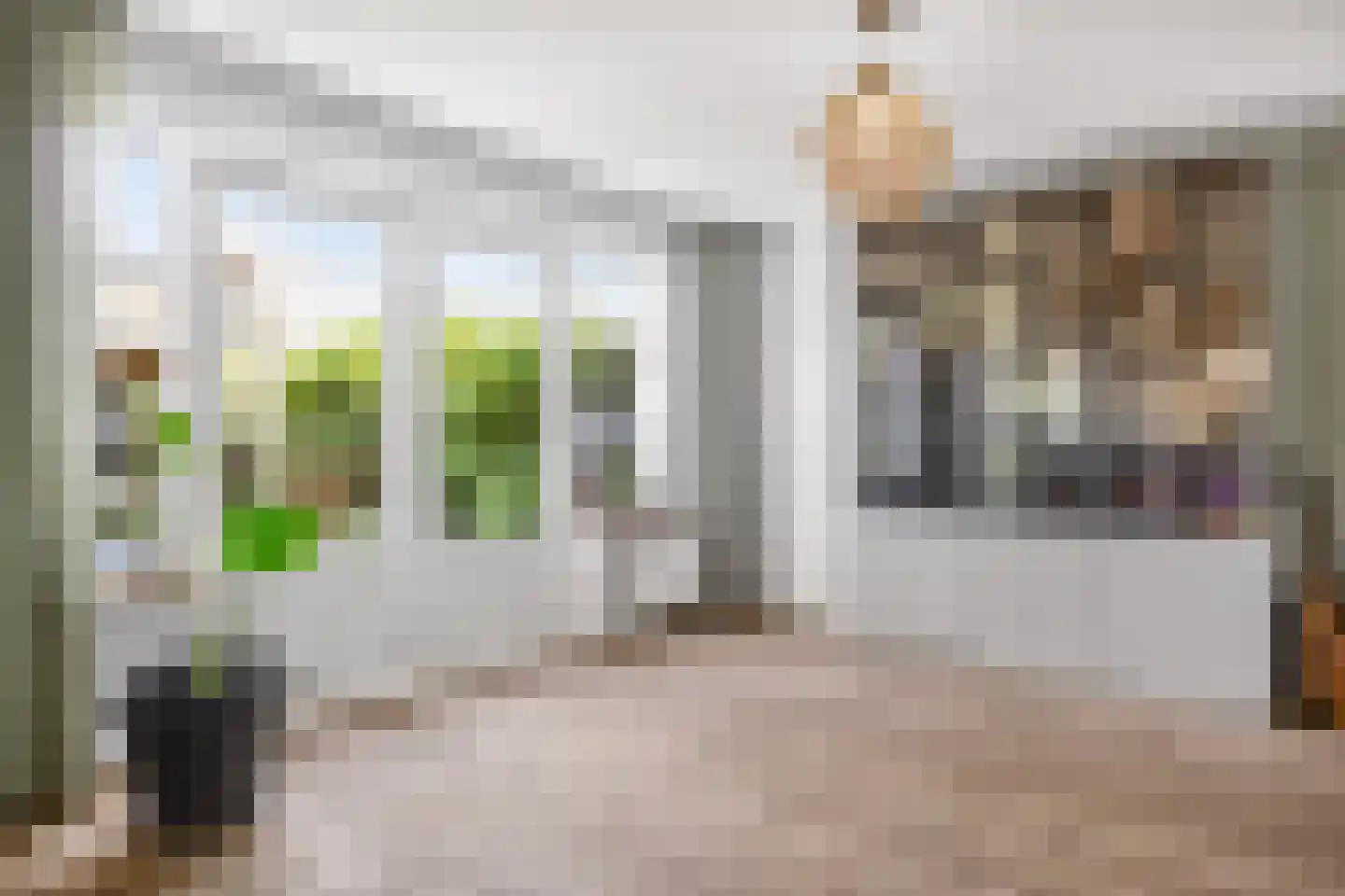 Schone van Boskoopgaarde 51 Amersfoort thumbnail 22