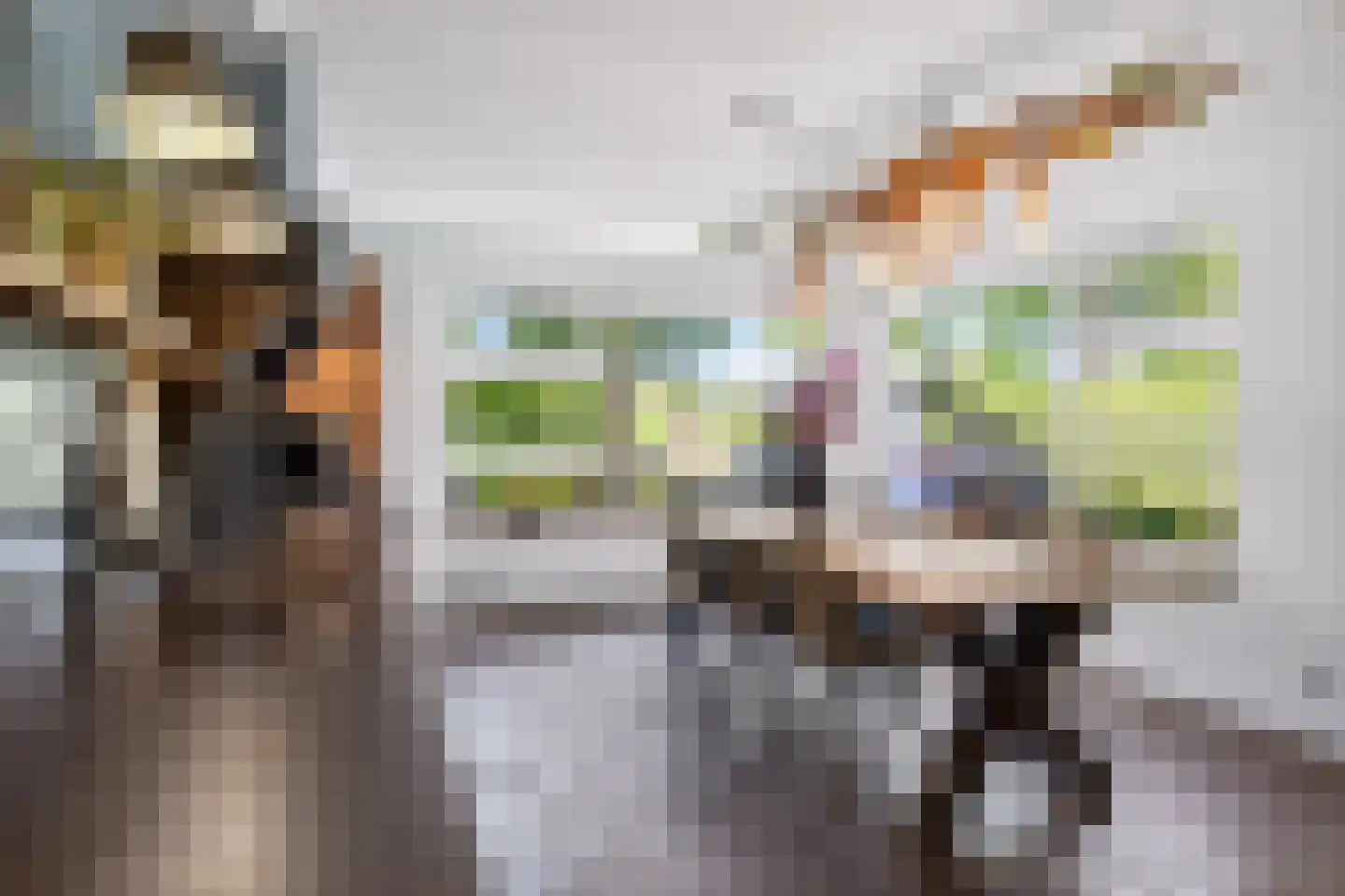 Schone van Boskoopgaarde 51 Amersfoort thumbnail 25