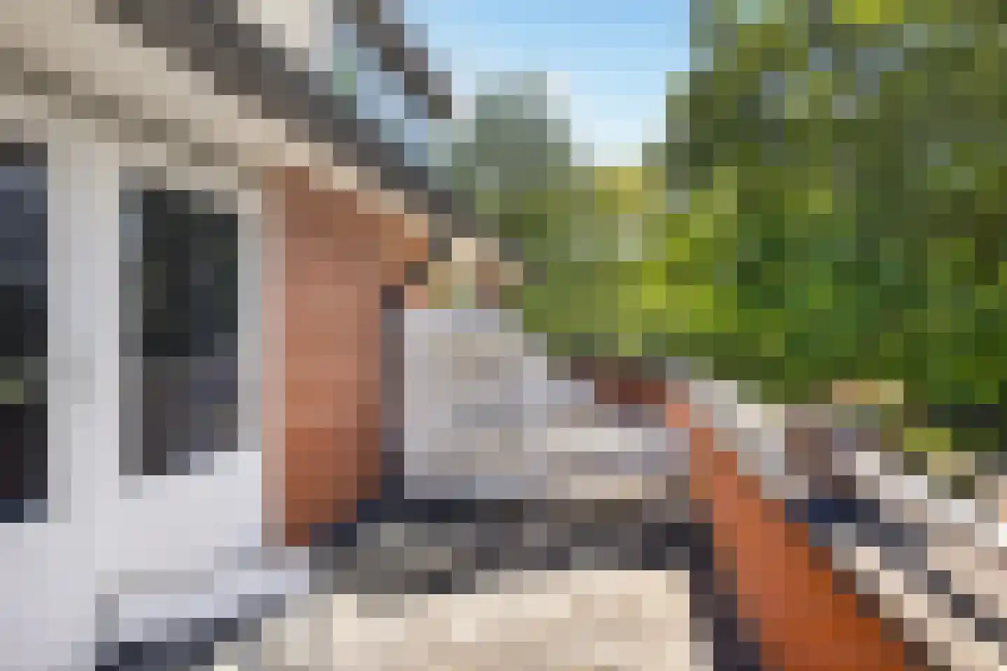 Schone van Boskoopgaarde 51 Amersfoort thumbnail 39