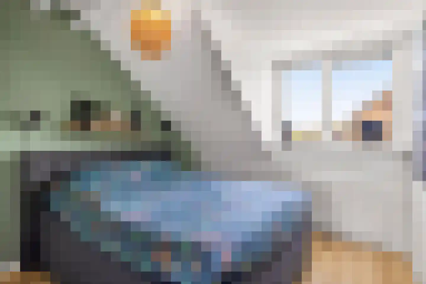 Schone van Boskoopgaarde 51 Amersfoort thumbnail 41