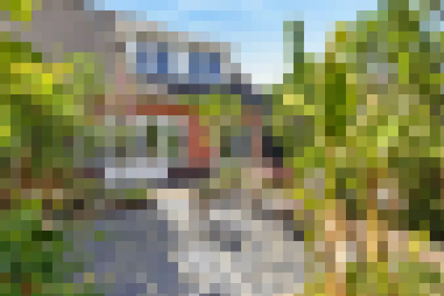 Schone van Boskoopgaarde 51 Amersfoort thumbnail 5