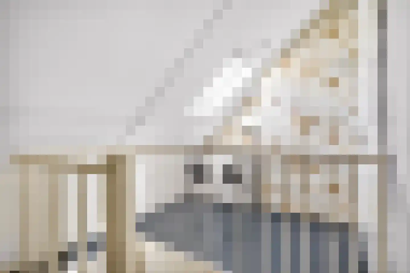 Schone van Boskoopgaarde 51 Amersfoort thumbnail 52