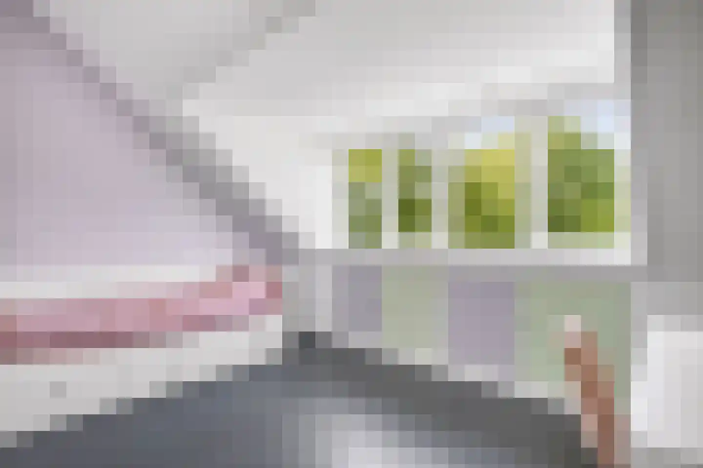 Schone van Boskoopgaarde 51 Amersfoort thumbnail 53