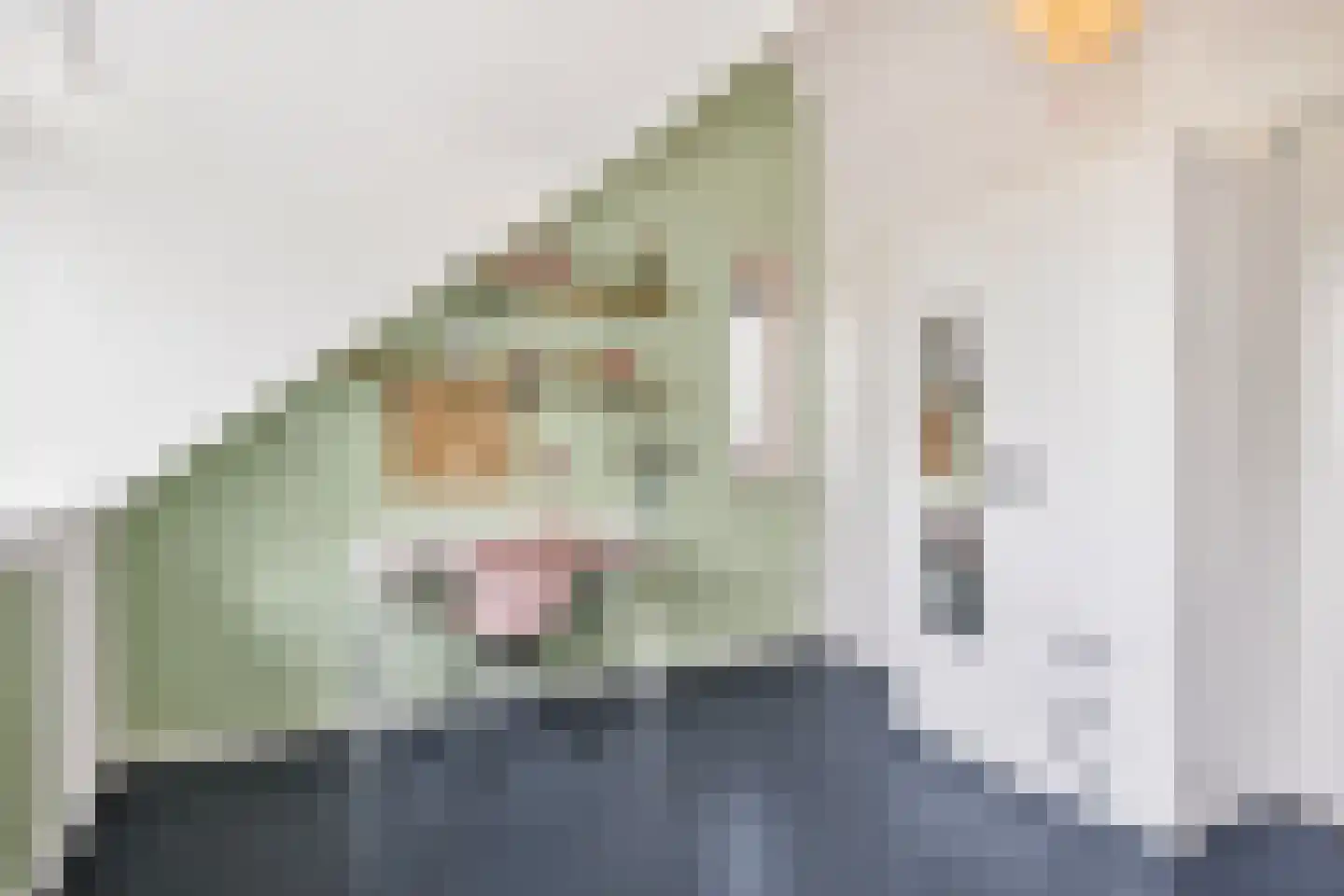 Schone van Boskoopgaarde 51 Amersfoort thumbnail 56
