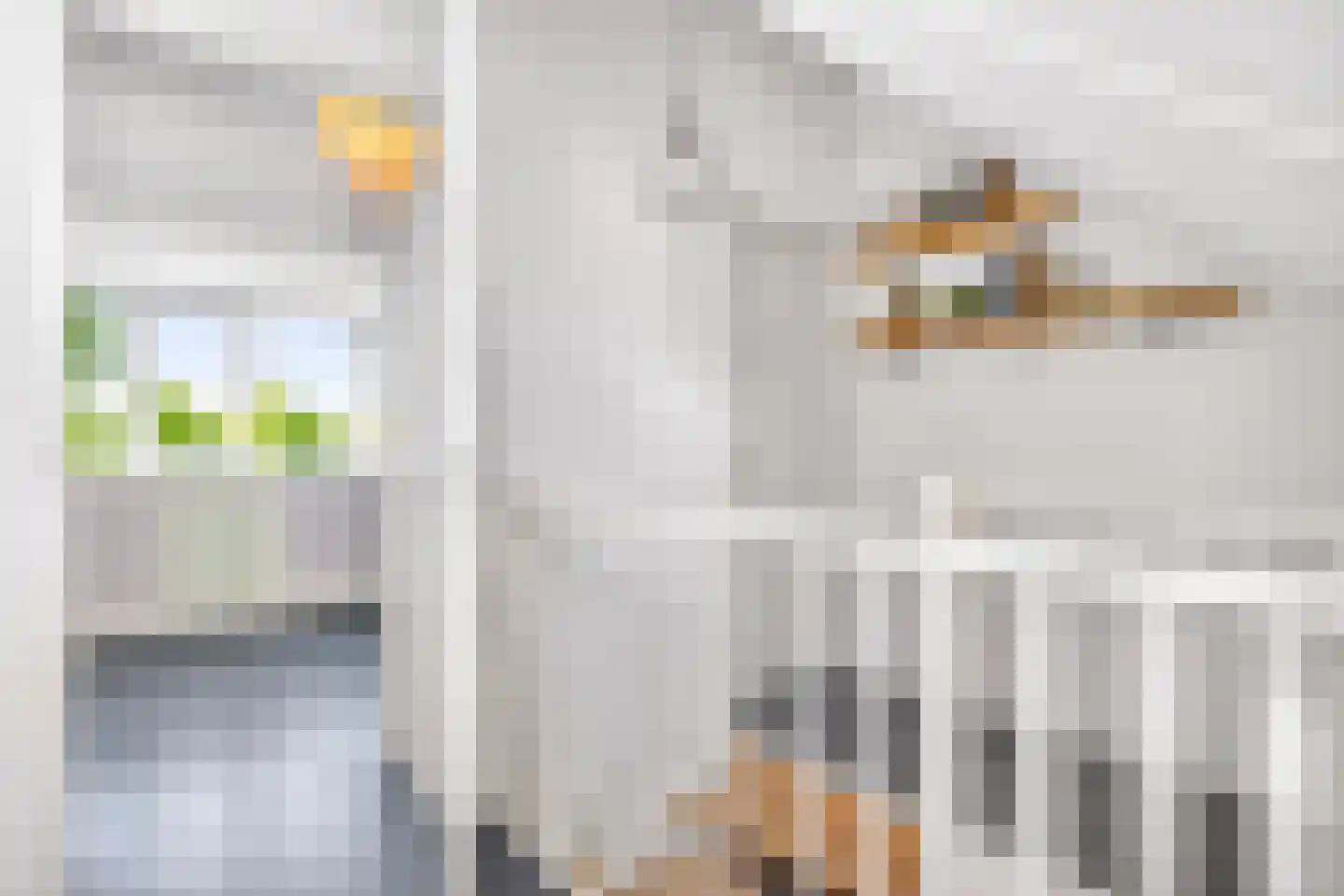 Schone van Boskoopgaarde 51 Amersfoort thumbnail 58