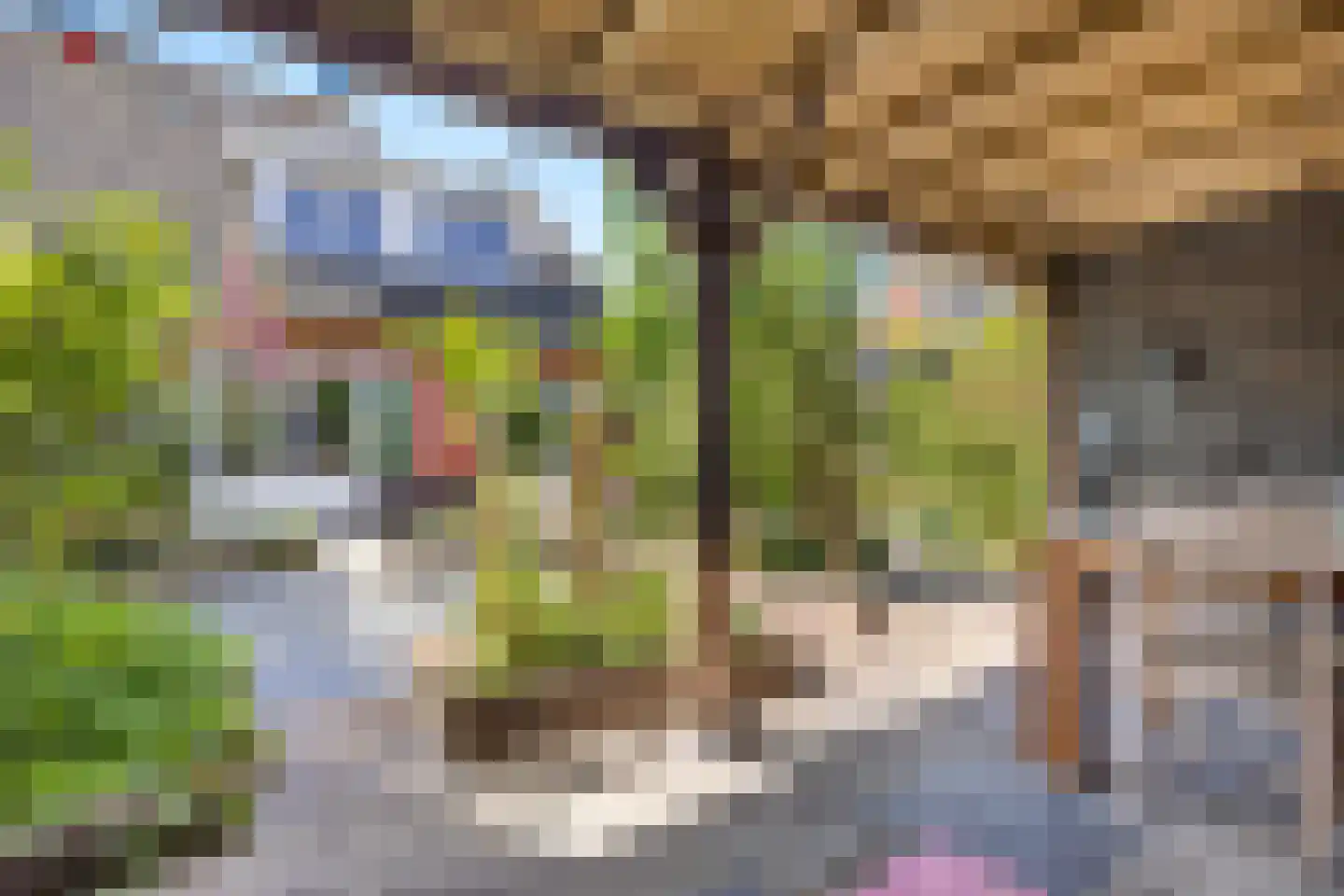 Schone van Boskoopgaarde 51 Amersfoort thumbnail 59