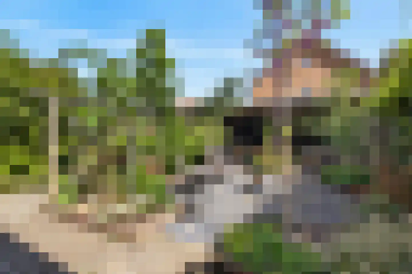Schone van Boskoopgaarde 51 Amersfoort thumbnail 60
