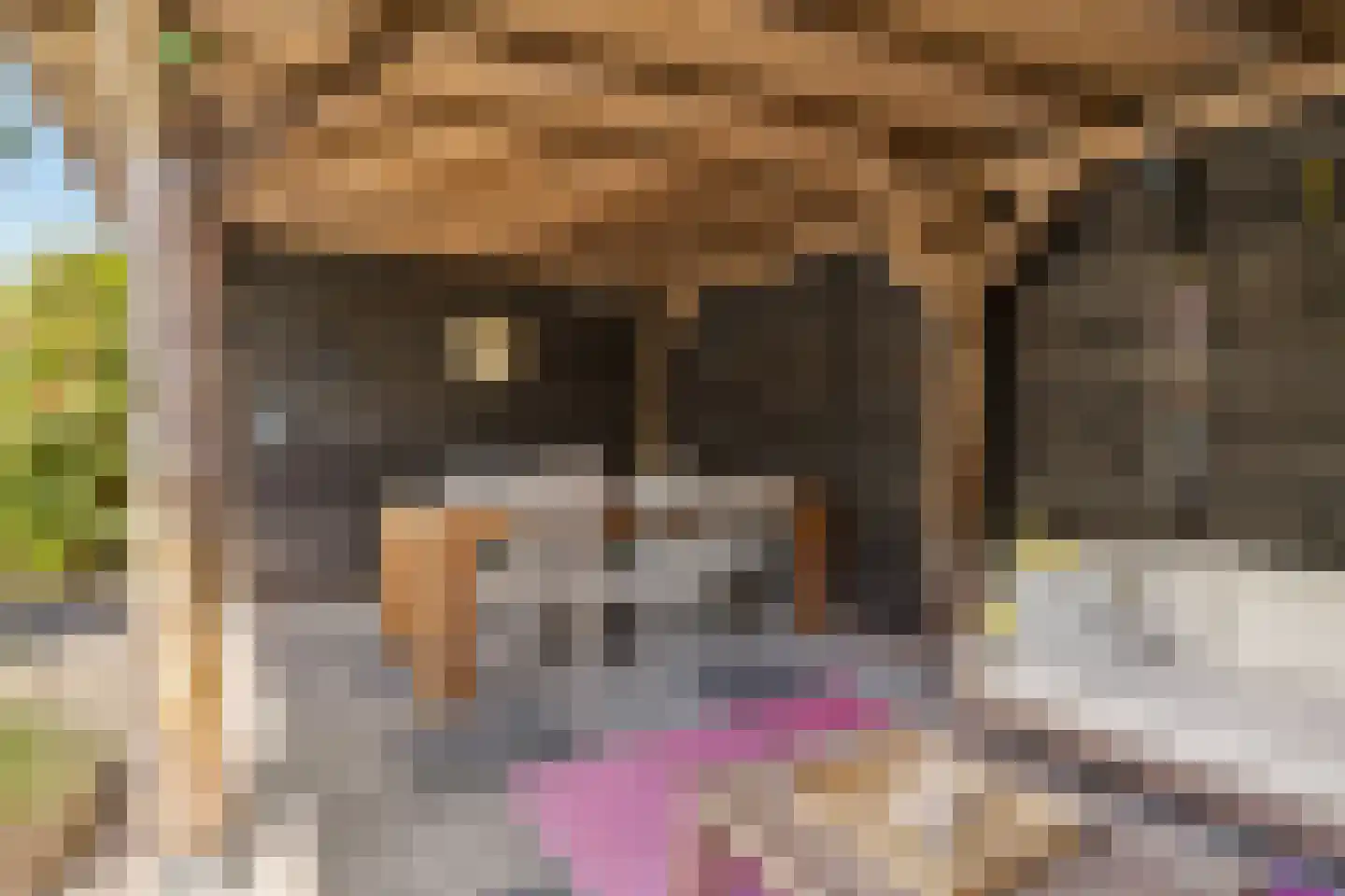 Schone van Boskoopgaarde 51 Amersfoort thumbnail 63