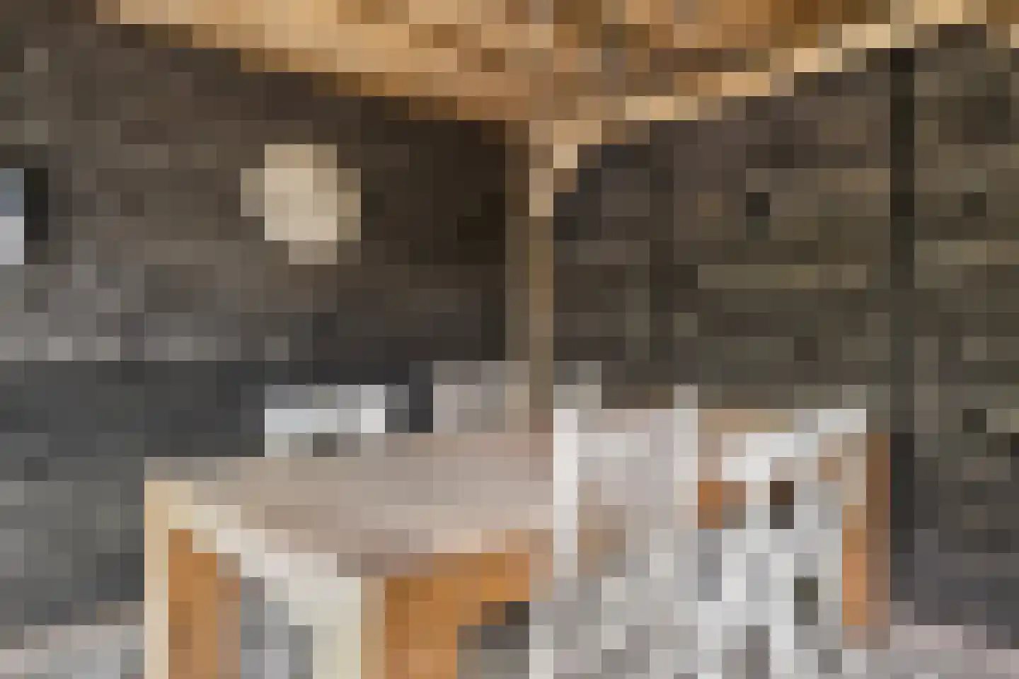 Schone van Boskoopgaarde 51 Amersfoort thumbnail 64