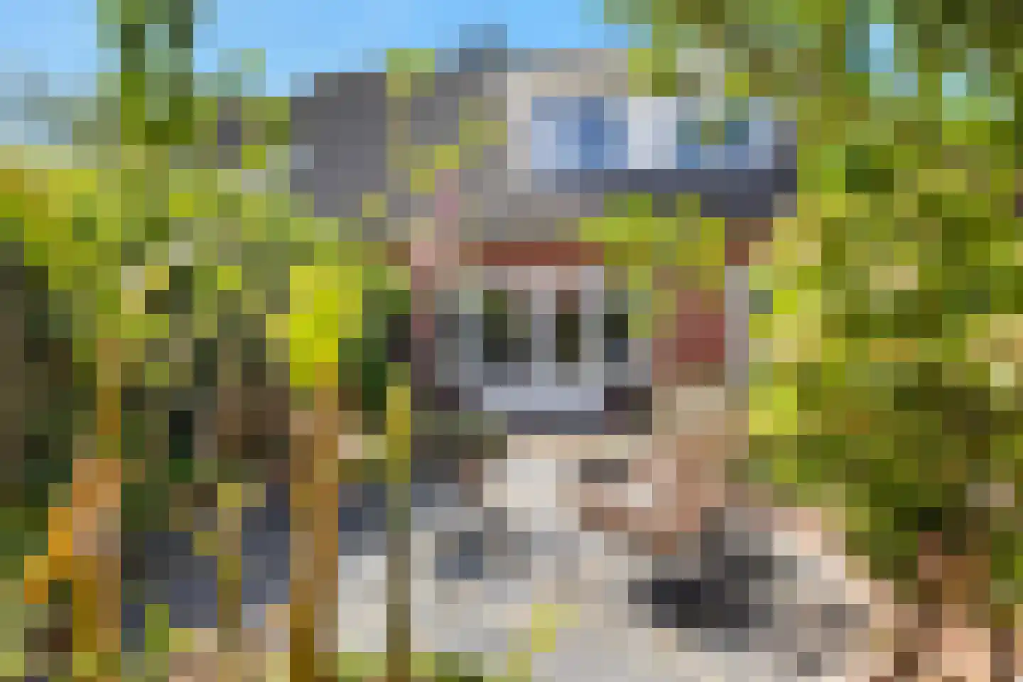 Schone van Boskoopgaarde 51 Amersfoort thumbnail 66
