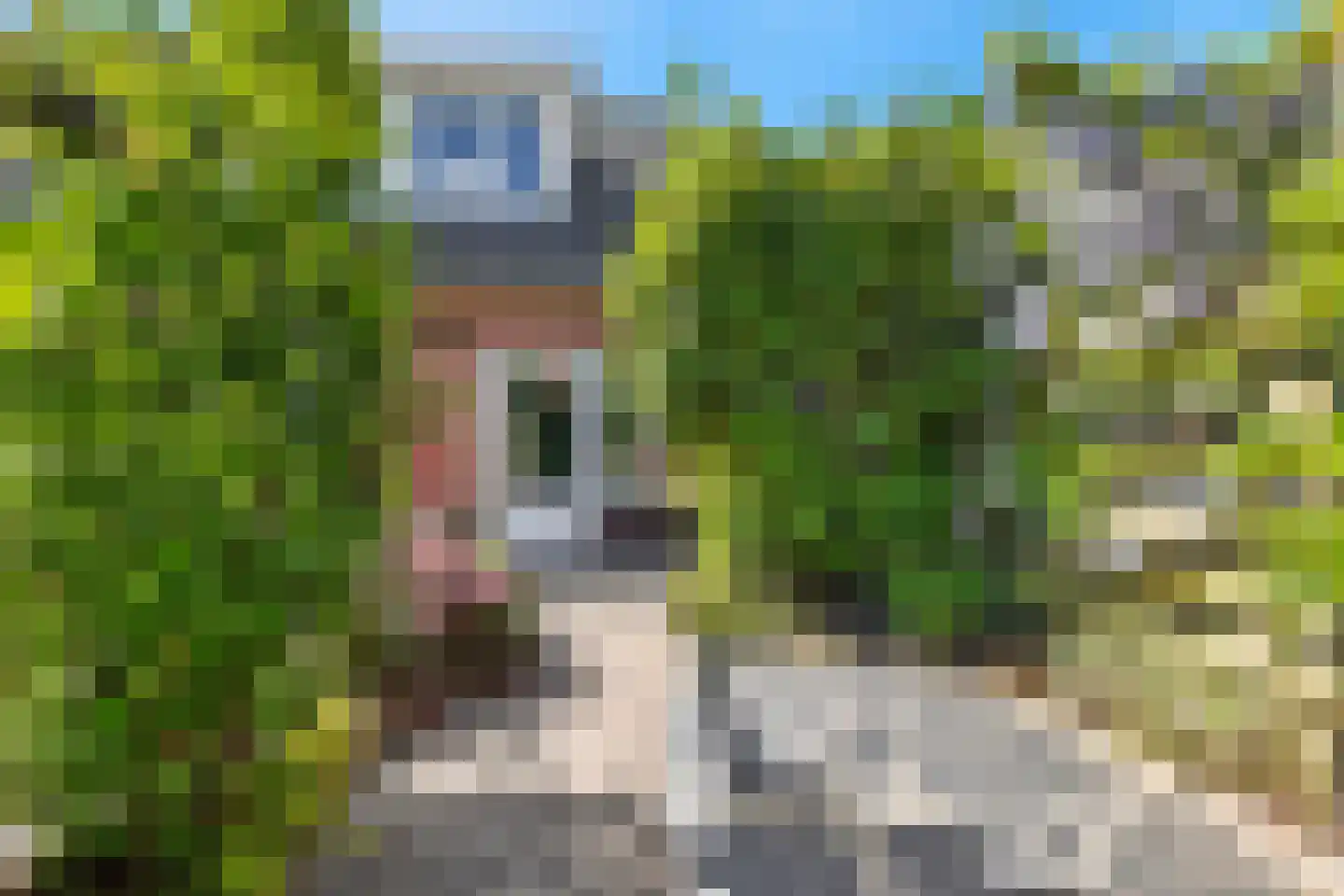 Schone van Boskoopgaarde 51 Amersfoort thumbnail 67