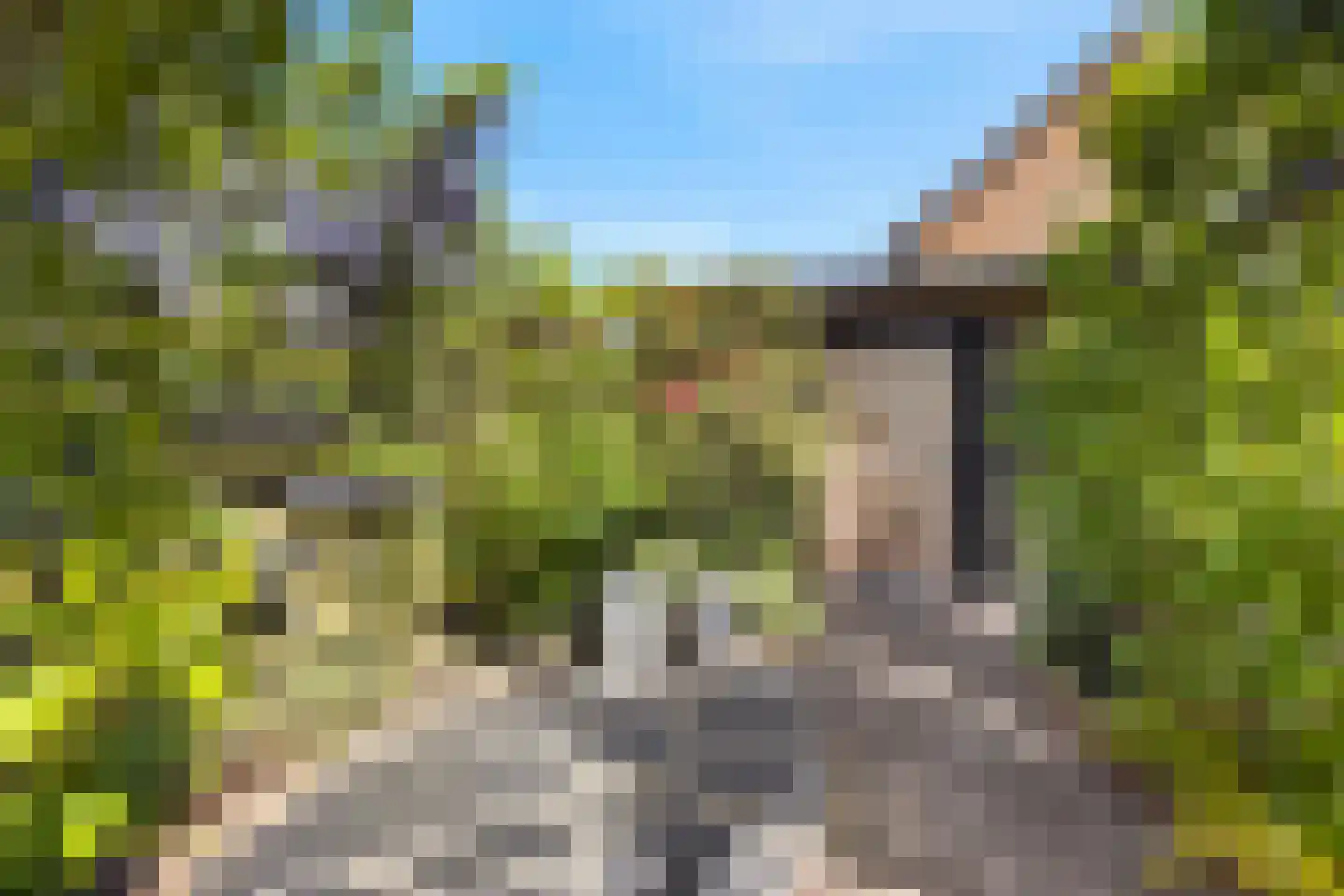 Schone van Boskoopgaarde 51 Amersfoort thumbnail 68