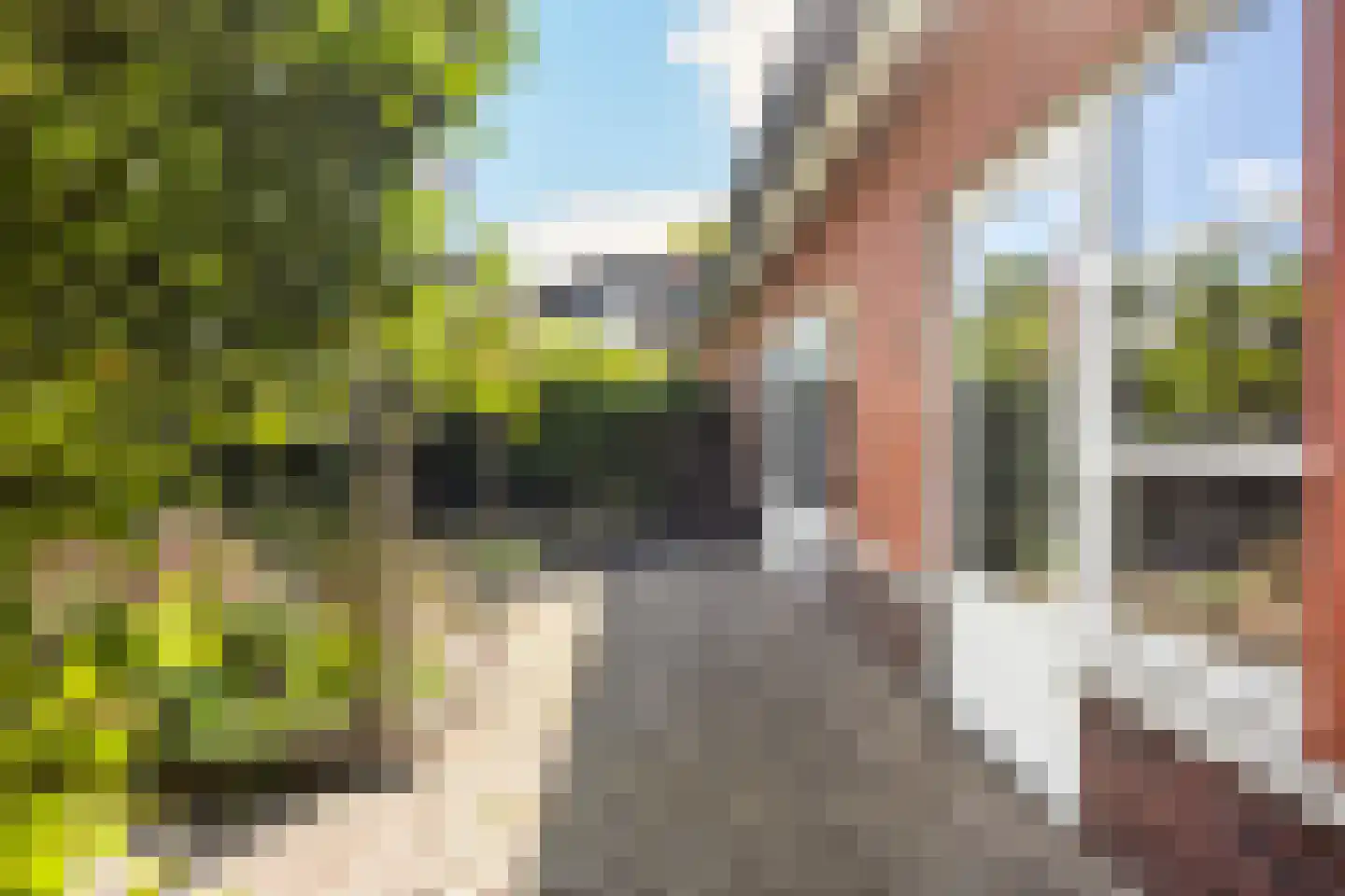 Schone van Boskoopgaarde 51 Amersfoort thumbnail 69