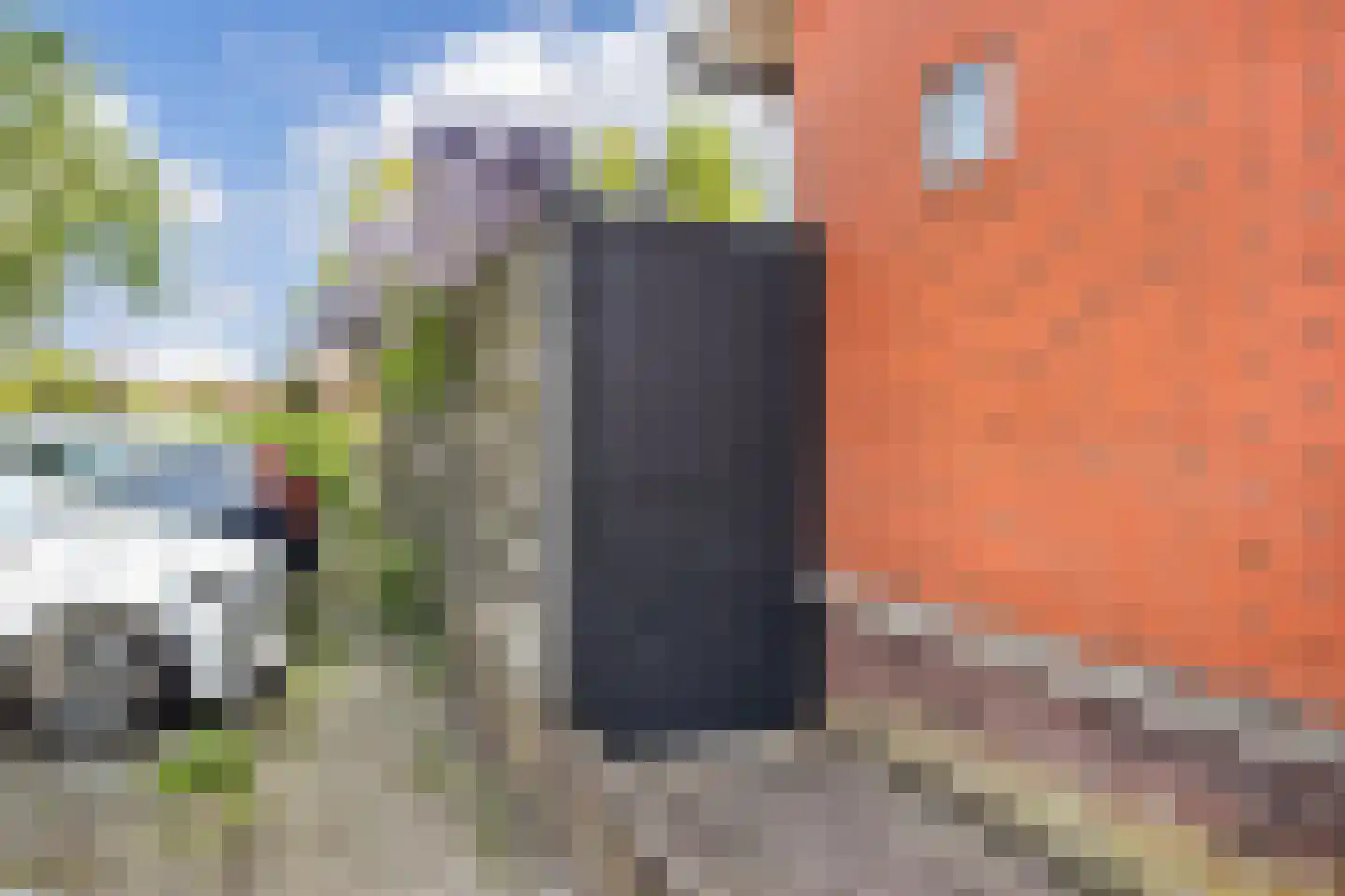 Schone van Boskoopgaarde 51 Amersfoort thumbnail 70