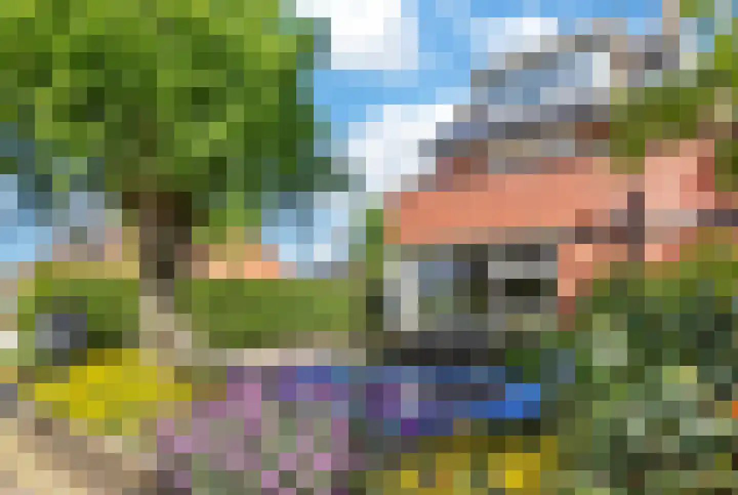 Schone van Boskoopgaarde 51 Amersfoort thumbnail 8