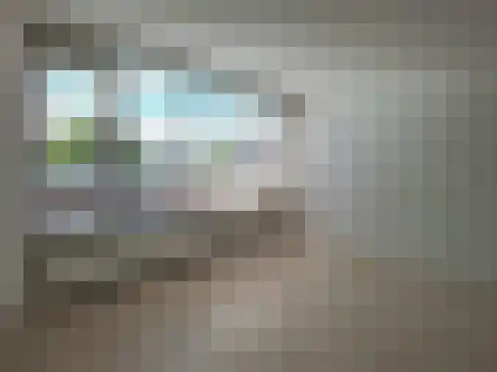 Schonebergerweg 166 Rotterdam foto 3