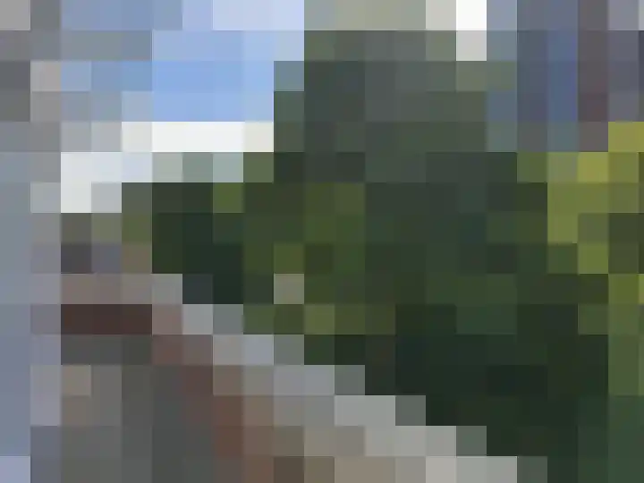 Schonebergerweg 166 Rotterdam thumbnail 9