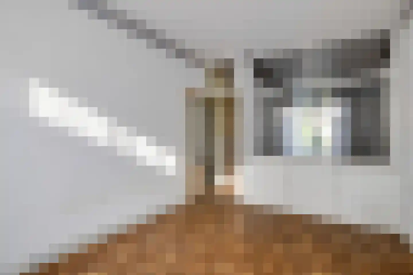 Schonebergerweg 22 B Rotterdam thumbnail 23
