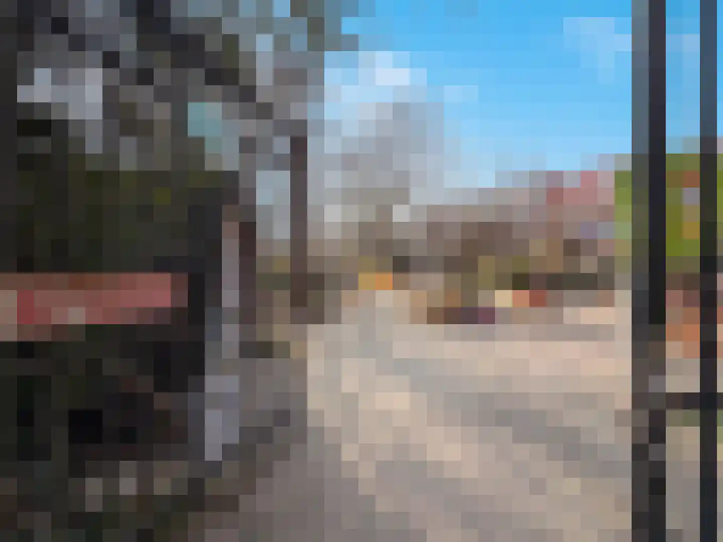 Schonebergerweg 22 B Rotterdam thumbnail 39