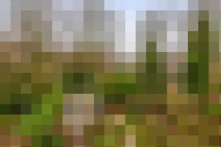 Schonebergerweg 22 C Rotterdam thumbnail 5