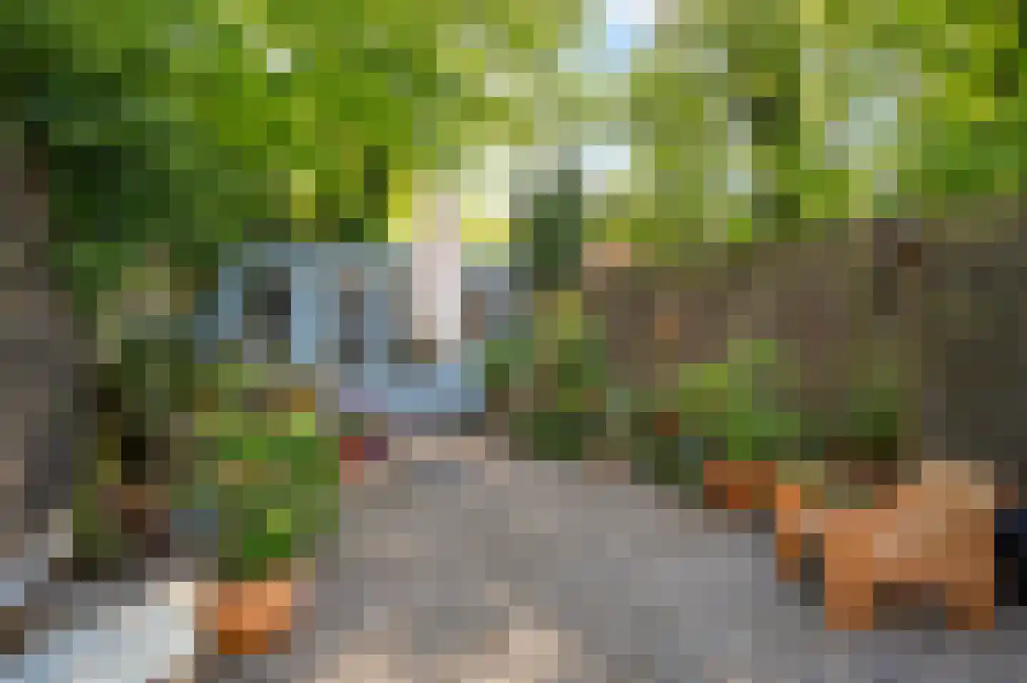 Schonebergerweg 22 D Rotterdam thumbnail 23
