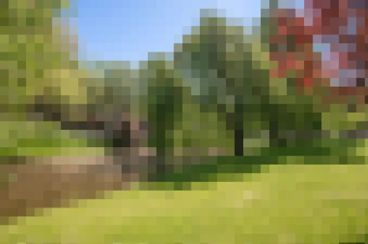 Schonebergerweg 22 D Rotterdam thumbnail 41