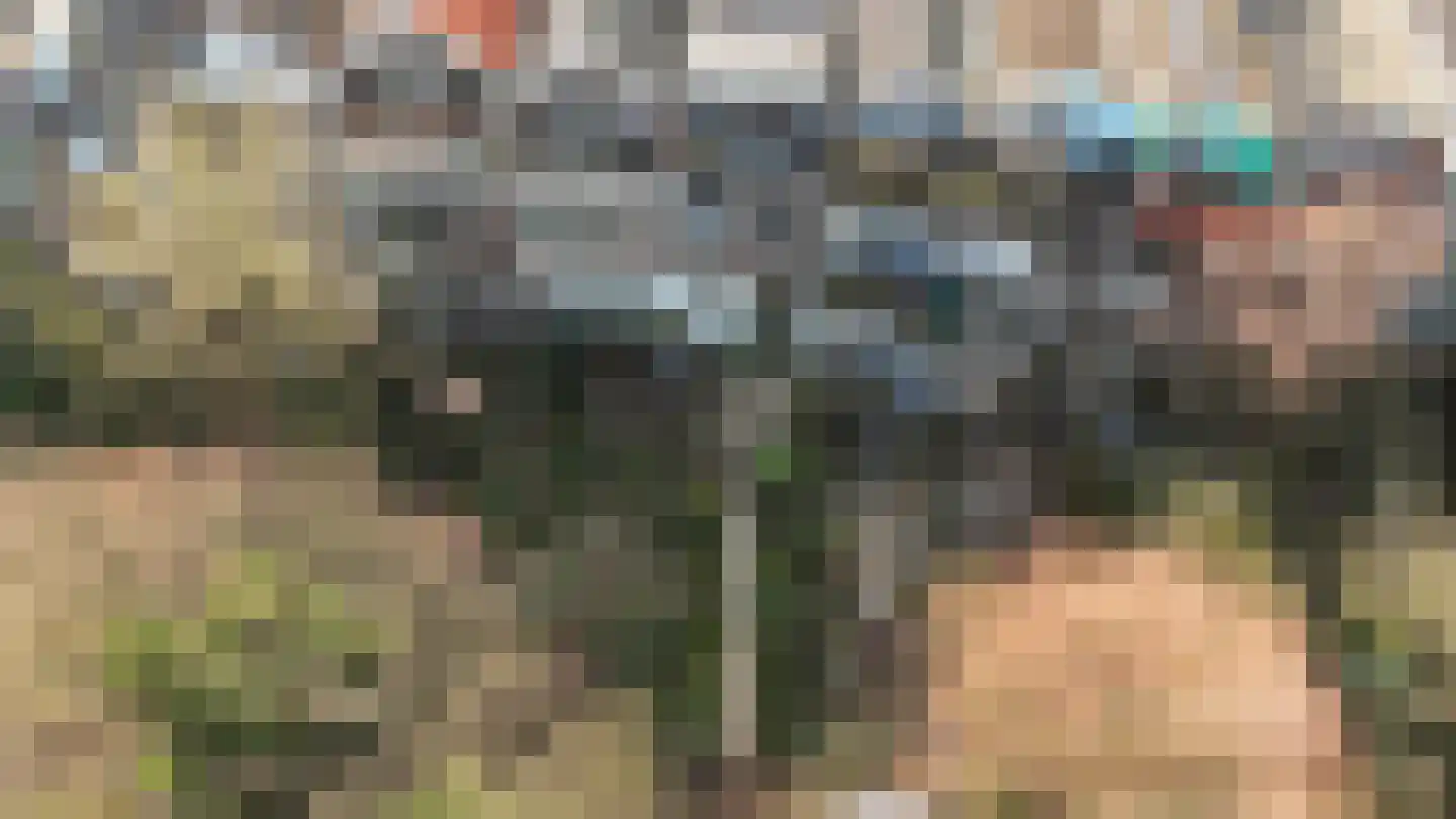 Schonebergerweg 22 D Rotterdam thumbnail 42