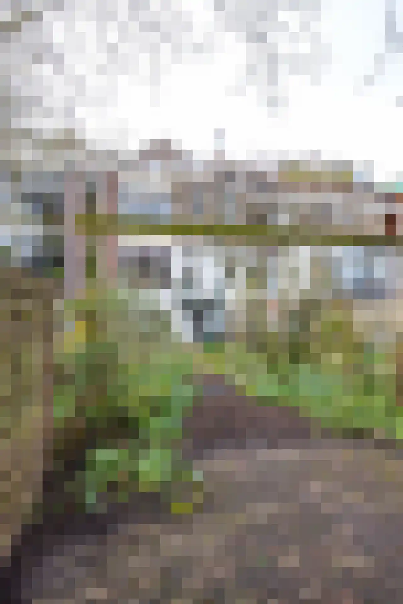 Schonebergerweg 26 B Rotterdam thumbnail 30