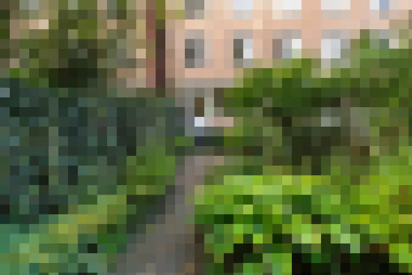 Schonebergerweg 48 A Rotterdam thumbnail 33