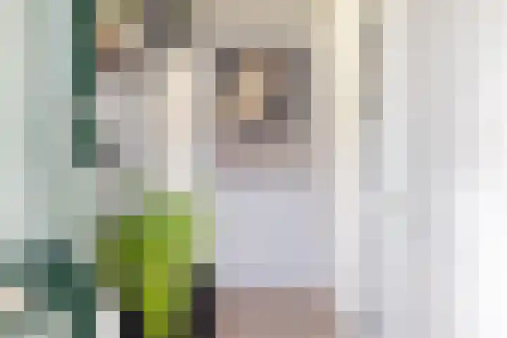 Schonegevelstraat 5 Sint Nicolaasga thumbnail 5