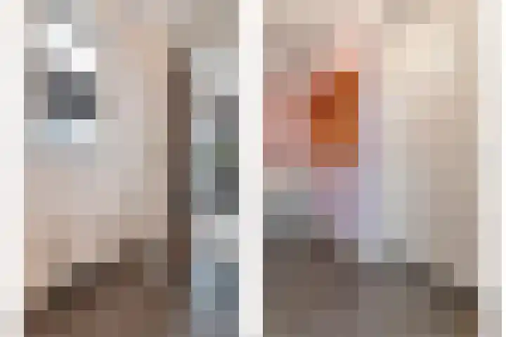Schonekampstraat 2 Hardenberg thumbnail 21