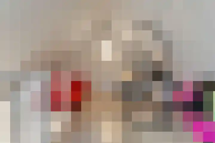 Schonekampstraat 2 Hardenberg thumbnail 32