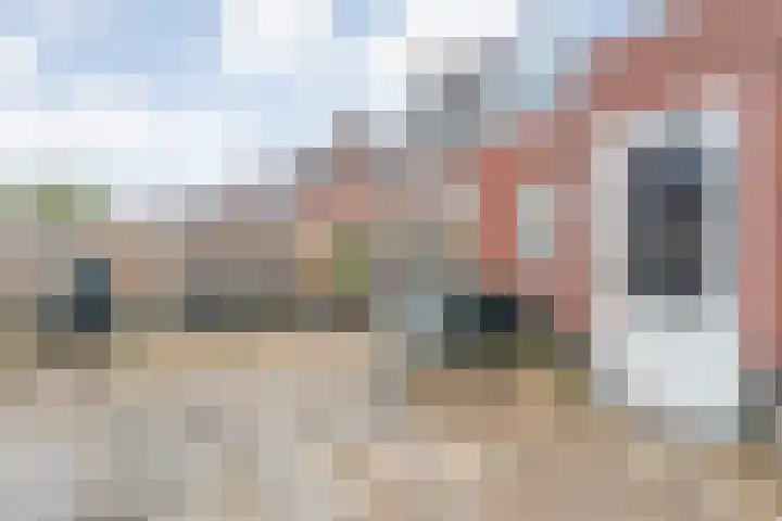 Schonekampstraat 2 Hardenberg thumbnail 38