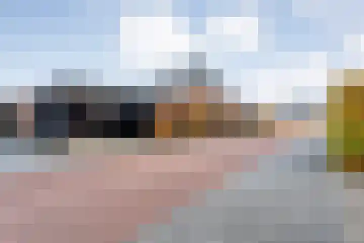 Schonekampstraat 2 Hardenberg thumbnail 5