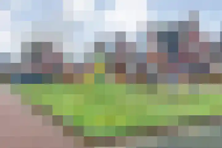 Schonekampstraat 2 Hardenberg thumbnail 6