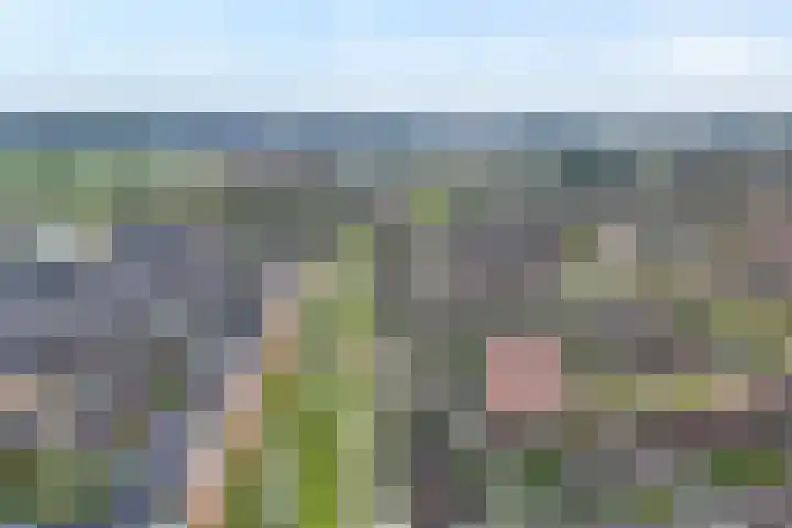 Schonekampstraat 3 Hardenberg thumbnail 10