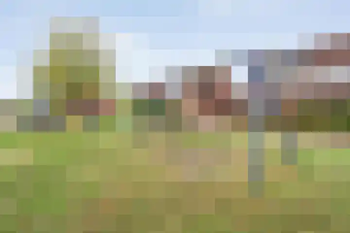 Schonekampstraat 3 Hardenberg thumbnail 11