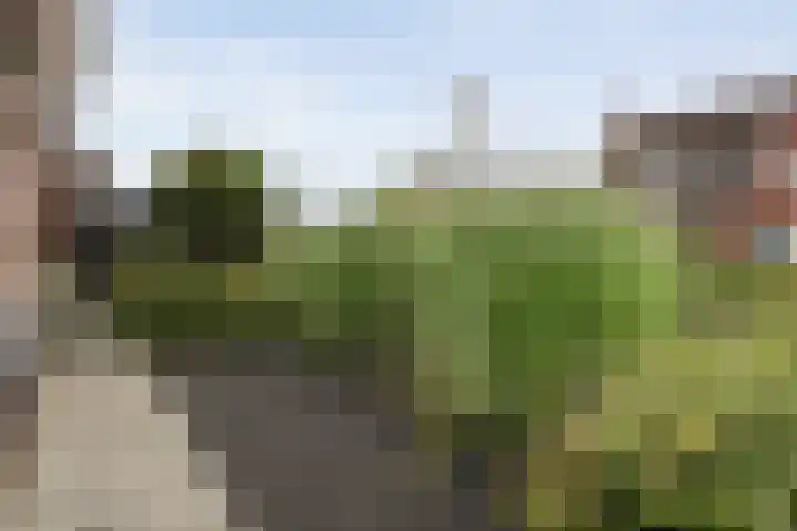 Schonekampstraat 3 Hardenberg thumbnail 13