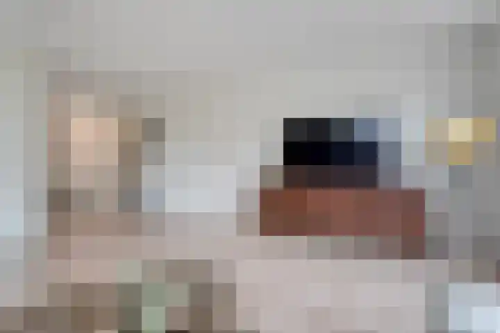 Schonekampstraat 3 Hardenberg thumbnail 17