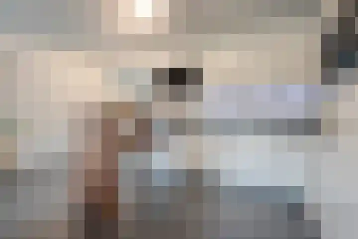 Schonekampstraat 3 Hardenberg thumbnail 20
