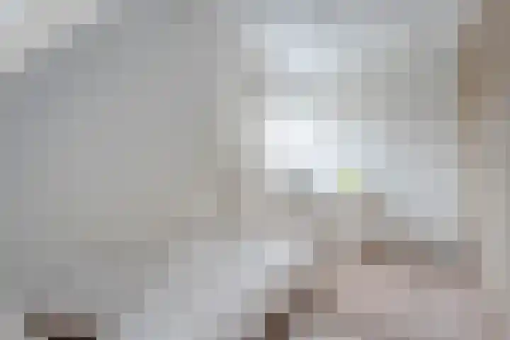Schonekampstraat 3 Hardenberg thumbnail 26