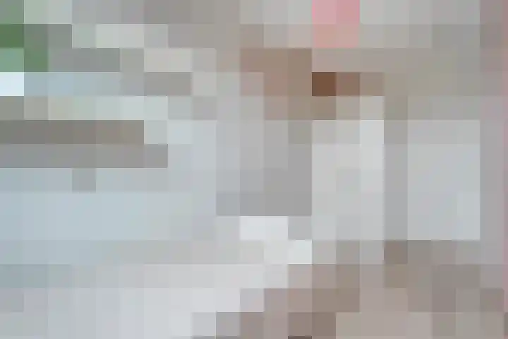 Schonekampstraat 3 Hardenberg thumbnail 31