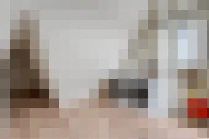 Schonekampstraat 3 Hardenberg thumbnail 32