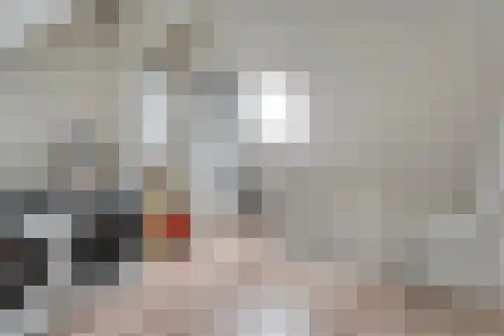 Schonekampstraat 3 Hardenberg thumbnail 33