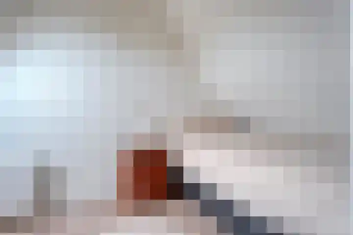 Schonekampstraat 3 Hardenberg thumbnail 34